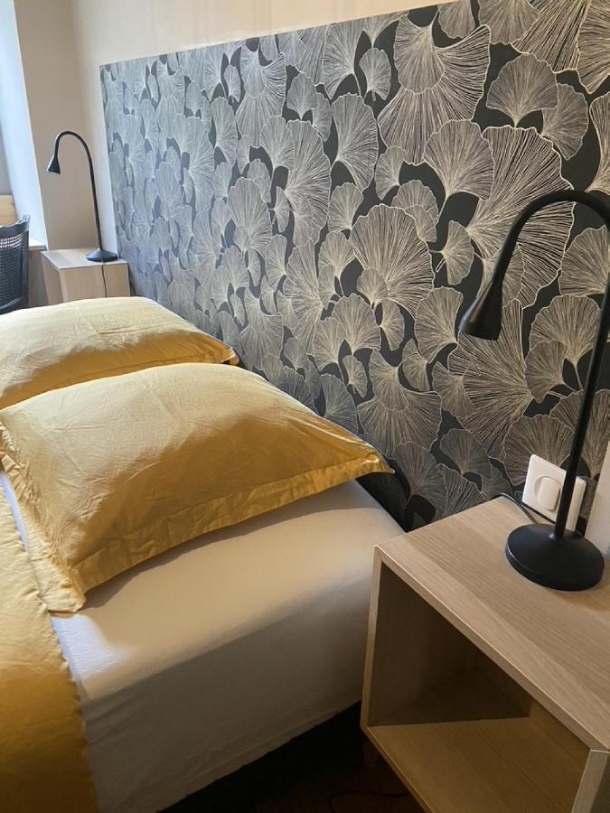 Ginkobiloba : Appartement Cosy En Coeur De Ville Баньер-де-Бигор Экстерьер фото